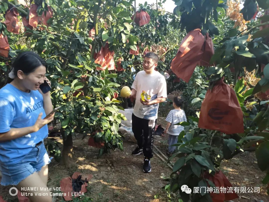 &#20048;&#25237;&#32593;&#39029;&#29256;&#45;&#20048;&#25237;&#65288;&#20013;&#22269;&#65289;